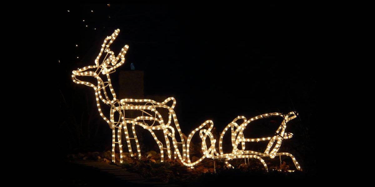 christmas-led-lights-kingston-1 An LED lighted reindeer and sleigh in front of a house as a part of christmas decoration.Security, Cameras , video recording , surveillance systems. Kingston Ontario , Smart home , alarms system