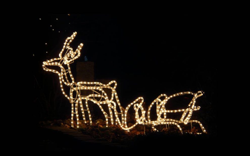 An LED lighted reindeer and sleigh in front of a house as a part of christmas decoration.Security, Cameras , video recording , surveillance systems. Kingston Ontario , Smart home , alarms system