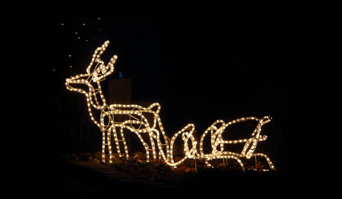 An LED lighted reindeer and sleigh in front of a house as a part of christmas decoration.Security, Cameras , video recording , surveillance systems. Kingston Ontario , Smart home , alarms system